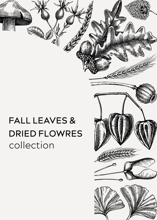 Autumn design with fall leaves and dried flowers. Thanksgiving background. Fall card or invitation. Sketched dried flowers, falling leaves, mushrooms vector frame. Vintage botanical illustration. 